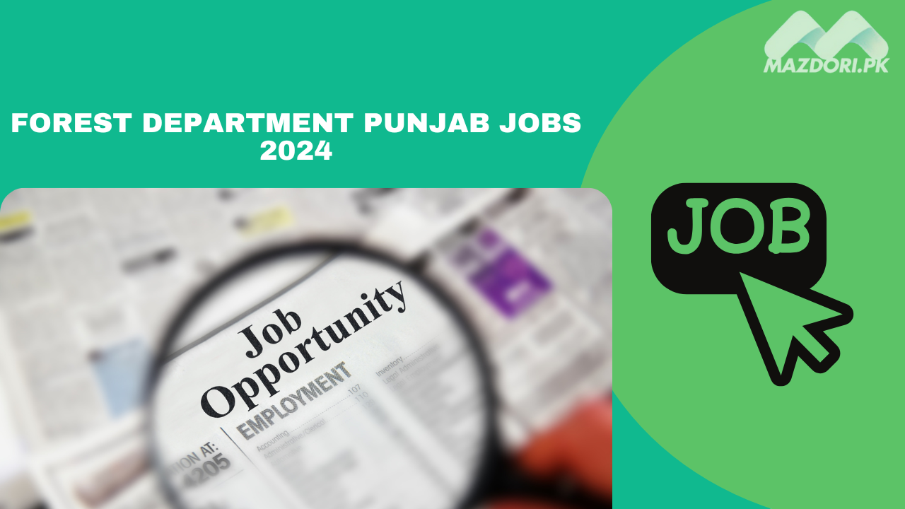 Forest Department Punjab Jobs 2024