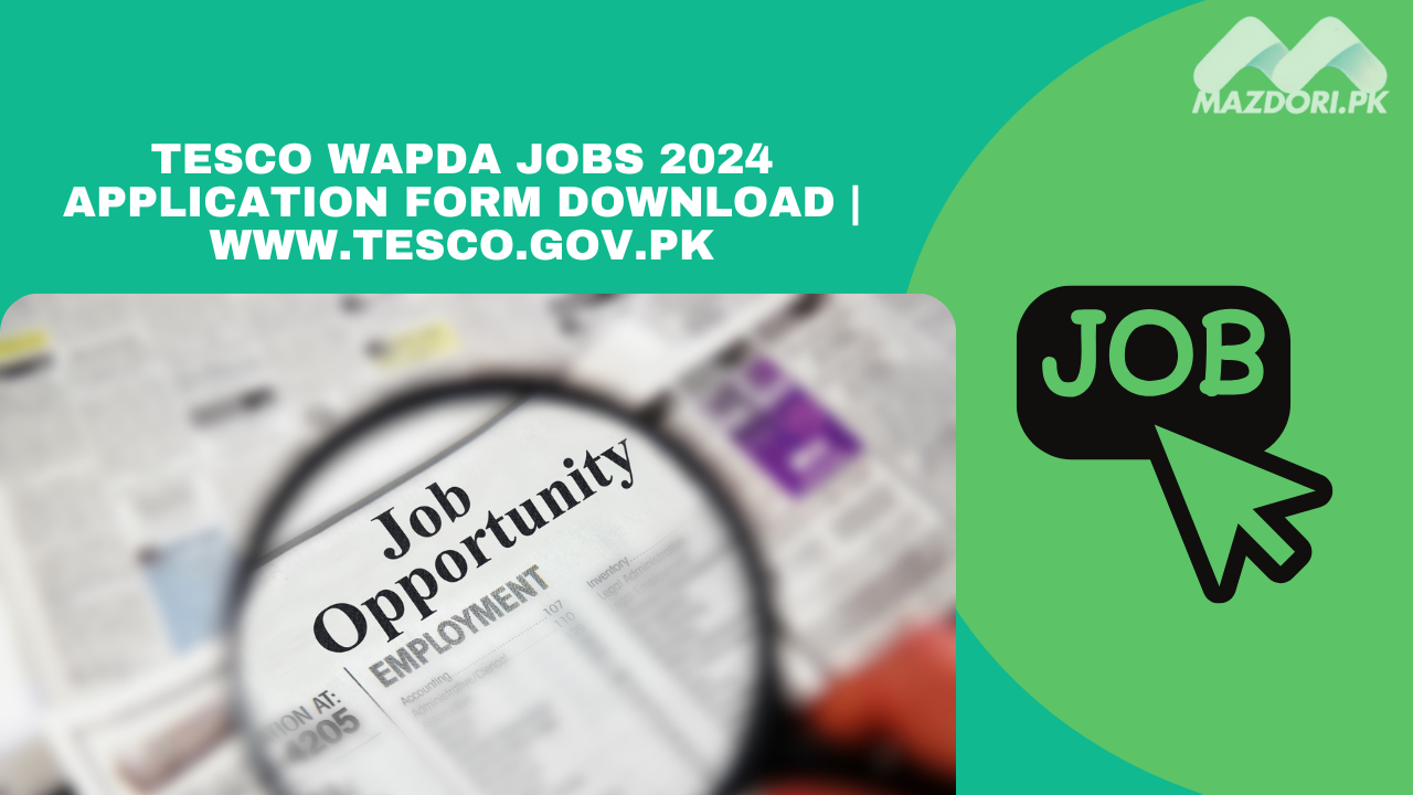 TESCO WAPDA Jobs 2024 Application Form Download