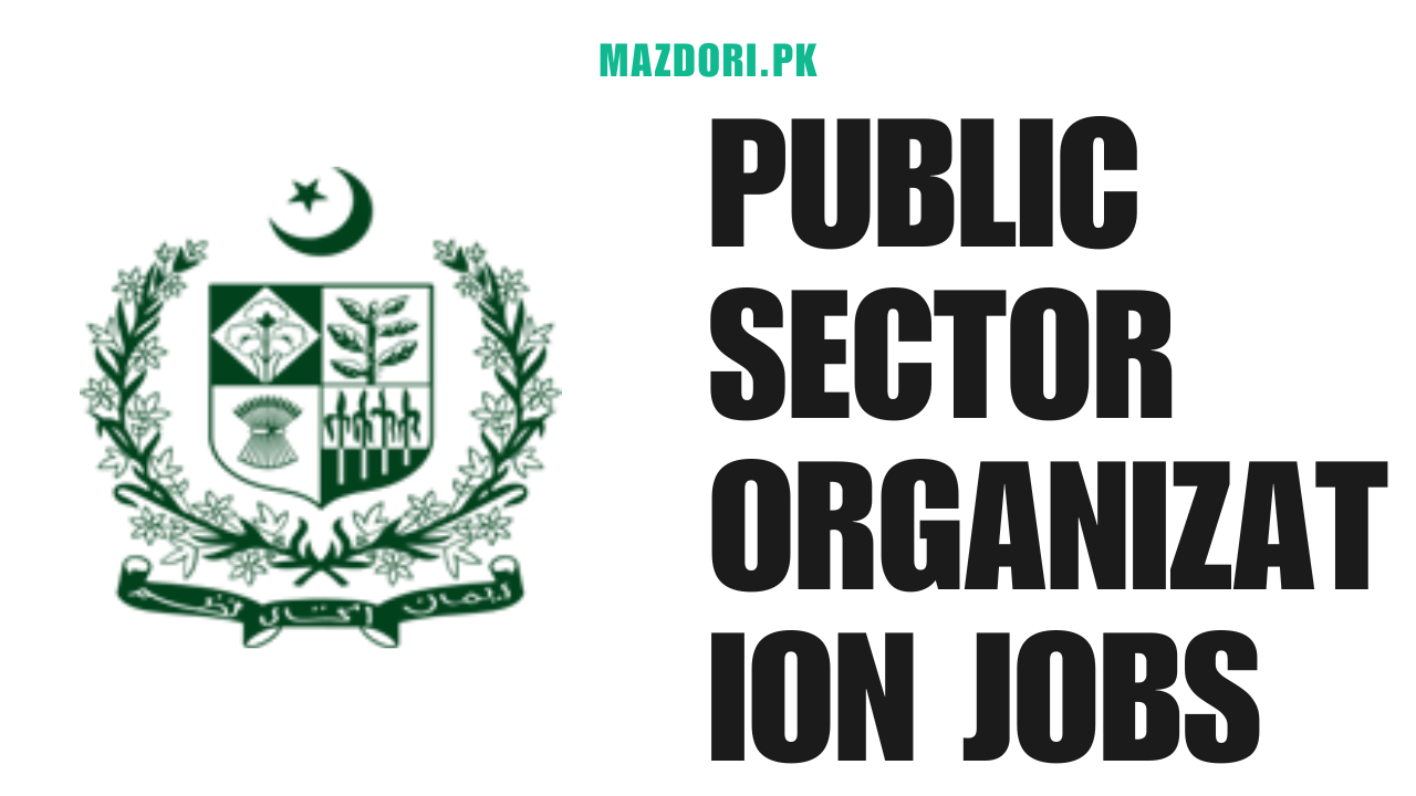 Public Sector Organization Jobs