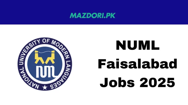 NUML Faisalabad Jobs 2025