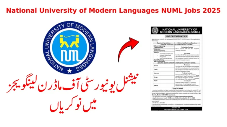 NUML University Islamabad Jobs 2025