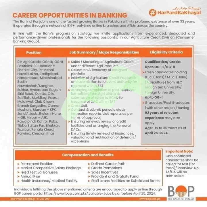 Bank of Punjab Jobs 2025