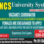 NCS University jobs in Peshawar January 2025