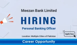 Relationship Manager Job