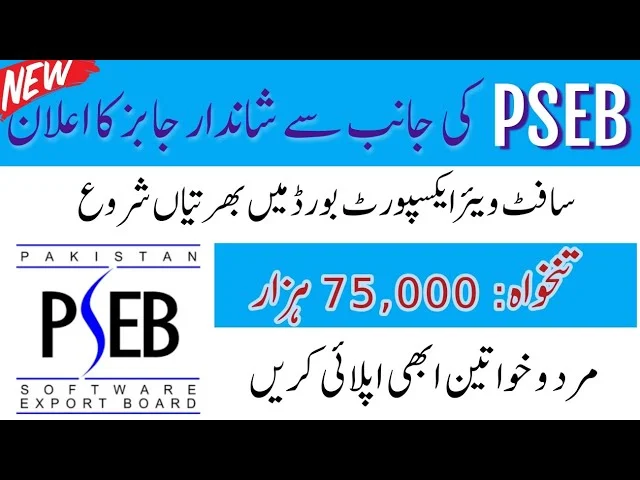 PSEB Jobs 2025