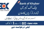 Bank of Khyber BOK Jobs