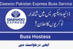 Daewoo Express Jobs