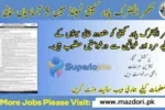 Latest Sukkur Electric Power Company SEPCO Jobs February 2025 Advertisement