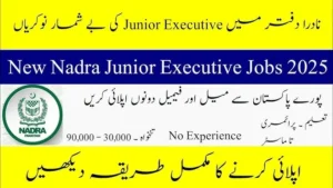 NADRA Junior Executive Jobs