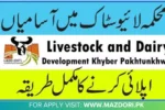 Livestock and Dairy Development Department KPK Jobs