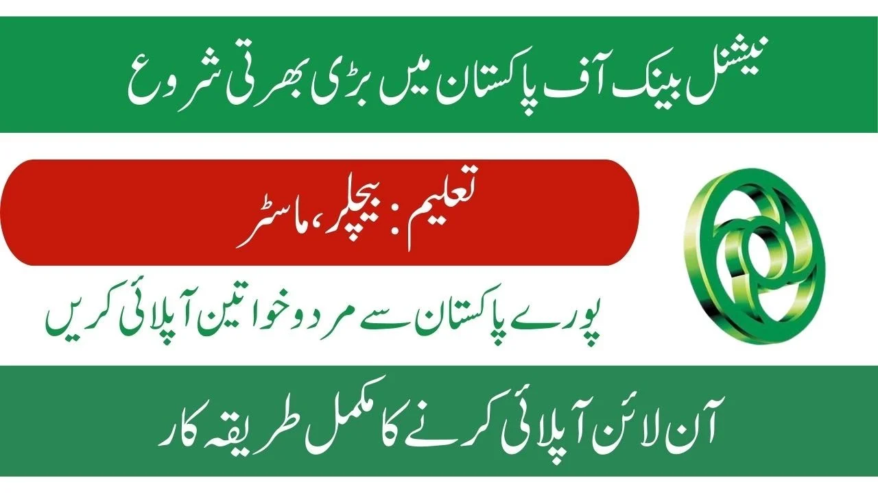 NBP Jobs