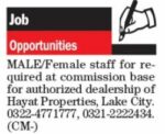 Real Estate Property Marketing Staff Jobs In Lahore City