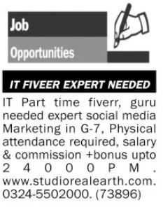 Latest Jobs In Private Company For IT Expert Islamabad