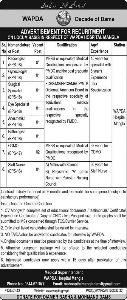 Government Latest Jobs At Wapda Hospital Mangla Pakistan
