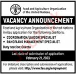 Jobs At Food & Agriculture Organization FAO Quetta
