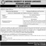 Govt Job At National University of Modern Languages Peshawar