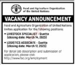 Govt Jobs At Food and Agriculture Organization FAO In Quetta
