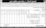 Govt Female Instructor Jobs At Ministry of Labour & Manpower