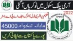 Army Public School and College Chunian Cantt Jobs 2022-23